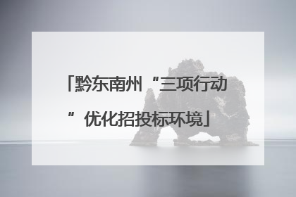 黔东南州“三项行动”优化招投标环境