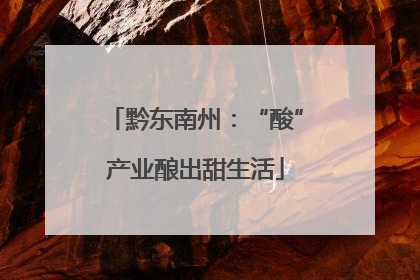 黔东南州：“酸”产业酿出甜生活