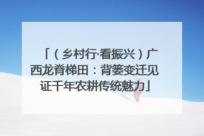 （乡村行·看振兴）广西龙脊梯田：背篓变迁见证千年农耕传统魅力