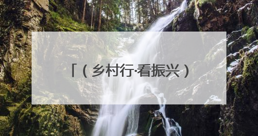 （乡村行·看振兴）江西共青城“领头雁”开辟致富“新稻路”