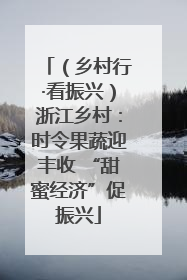 （乡村行·看振兴）浙江乡村：时令果蔬迎丰收 “甜蜜经济”促振兴
