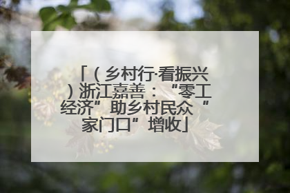 （乡村行·看振兴）浙江嘉善：“零工经济”助乡村民众“家门口”增收