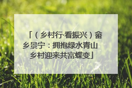 （乡村行·看振兴）畲乡景宁：拥抱绿水青山 乡村迎来共富蝶变