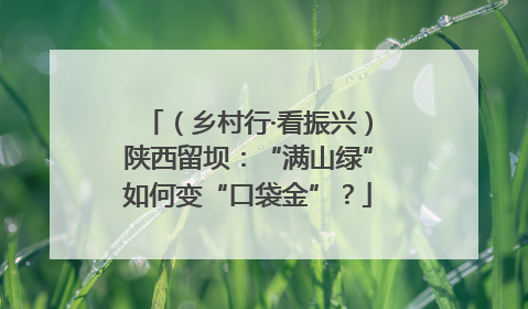 （乡村行·看振兴）陕西留坝：“满山绿”如何变“口袋金”？