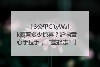 3公里CityWalk藏着多少惊喜？沪疆童心手拉手，“益起走”