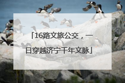 16路文旅公交，一日穿越济宁千年文脉