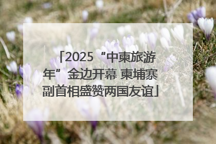 2025“中柬旅游年”金边开幕 柬埔寨副首相盛赞两国友谊