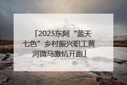 2025东阿“蓝天七色”乡村振兴职工黄河微马激情开跑