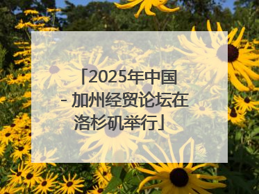 2025年中国－加州经贸论坛在洛杉矶举行
