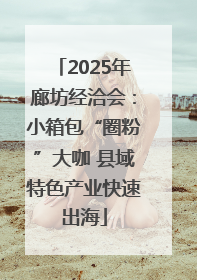 2025年廊坊经洽会：小箱包“圈粉”大咖 县域特色产业快速出海