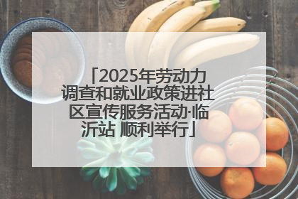 2025年劳动力调查和就业政策进社区宣传服务活动·临沂站 顺利举行