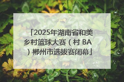 2025年湖南省和美乡村篮球大赛（村 BA）郴州市选拔赛闭幕