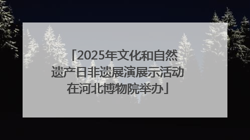 2025年文化和自然遗产日非遗展演展示活动在河北博物院举办