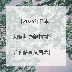 2025年日本大阪世博会中国馆广西活动周启幕