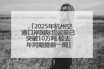 2025年杭州空港口岸国际货运量已突破10万吨 较去年同期提前一周