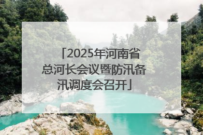 2025年河南省总河长会议暨防汛备汛调度会召开