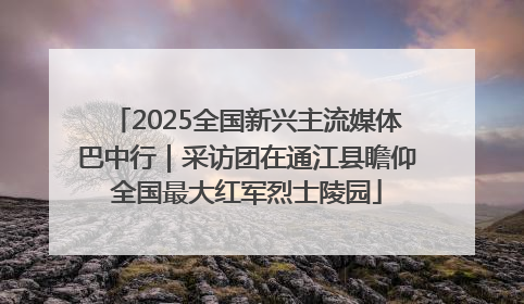 2025全国新兴主流媒体巴中行｜采访团在通江县瞻仰全国最大红军烈士陵园