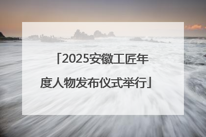 2025安徽工匠年度人物发布仪式举行