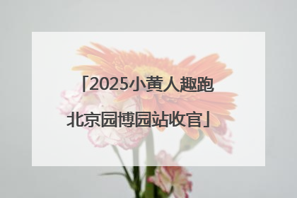 2025小黄人趣跑北京园博园站收官