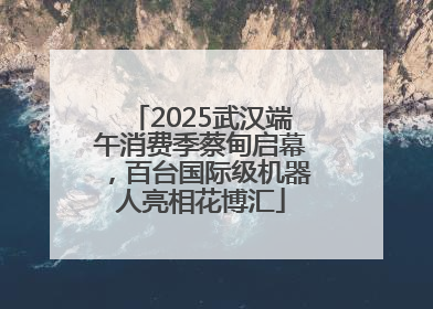 2025武汉端午消费季蔡甸启幕，百台国际级机器人亮相花博汇