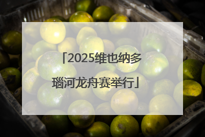 2025维也纳多瑙河龙舟赛举行
