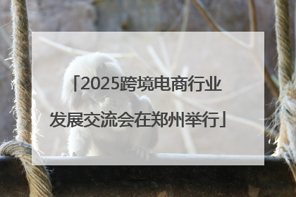 2025跨境电商行业发展交流会在郑州举行