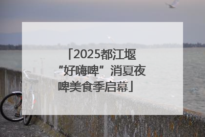 2025都江堰“好嗨啤”消夏夜啤美食季启幕