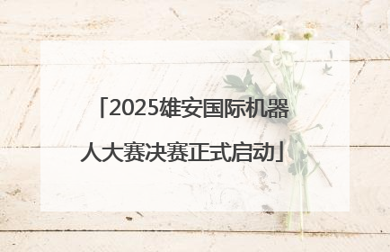2025雄安国际机器人大赛决赛正式启动