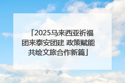 2025马来西亚祈福团来泰安团建 政策赋能共绘文旅合作新篇