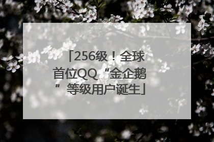 256级！全球首位QQ“金企鹅”等级用户诞生