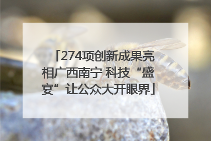 274项创新成果亮相广西南宁 科技“盛宴”让公众大开眼界
