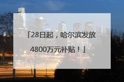 28日起，哈尔滨发放4800万元补贴！