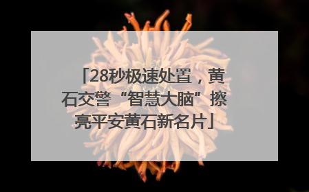 28秒极速处置，黄石交警“智慧大脑”擦亮平安黄石新名片