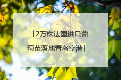 2万株法国进口葡萄苗落地青岛空港