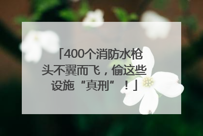 400个消防水枪头不翼而飞，偷这些设施“真刑”！