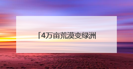 4万亩荒漠变绿洲，“戈壁奇迹”背后的“潍坊密码”