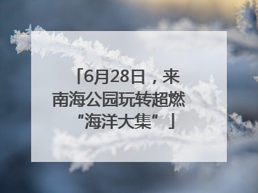 6月28日，来南海公园玩转超燃 “海洋大集”