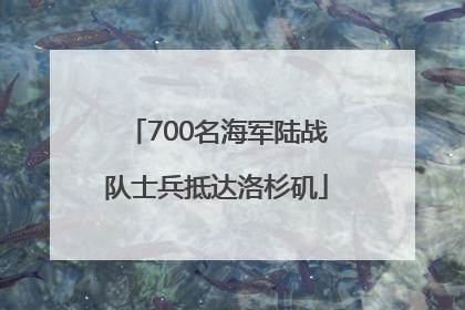 700名海军陆战队士兵抵达洛杉矶