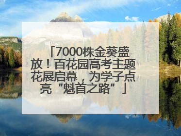 7000株金葵盛放！百花园高考主题花展启幕，为学子点亮“魁首之路”