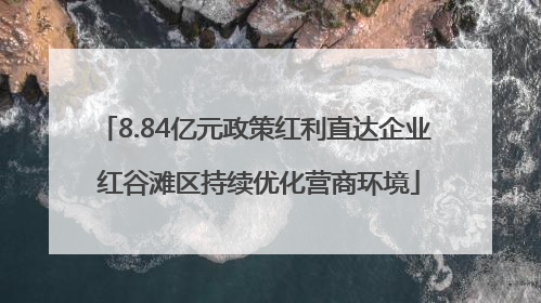 8.84亿元政策红利直达企业 红谷滩区持续优化营商环境
