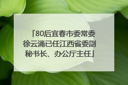 80后宜春市委常委徐云涌已任江西省委副秘书长、办公厅主任