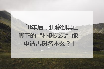 8年后，迁移到吴山脚下的“朴树弟弟”能申请古树名木么？