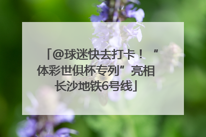 @球迷快去打卡！“体彩世俱杯专列”亮相长沙地铁6号线