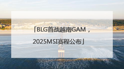 BLG首战越南GAM，2025MSI赛程公布