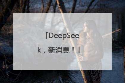 DeepSeek，新消息！