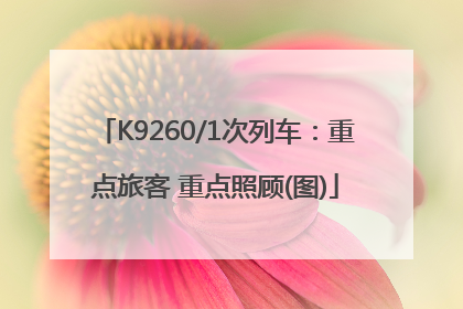 K9260/1次列车：重点旅客 重点照顾(图)