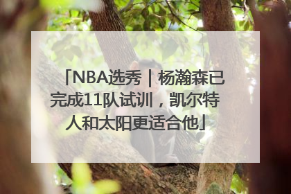 NBA选秀｜杨瀚森已完成11队试训，凯尔特人和太阳更适合他